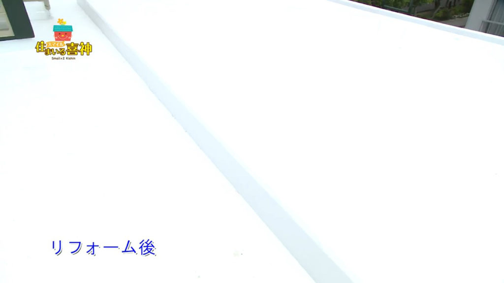 カビやコケ解消！改修塗装防水リフォーム