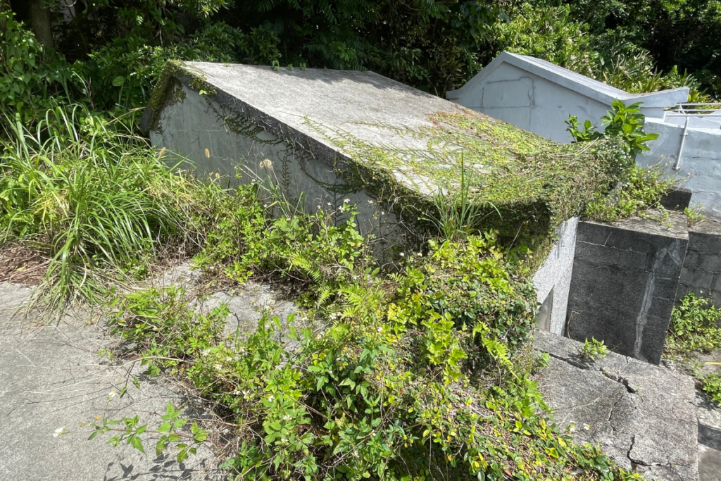 傷んだ屋根も ご先祖様の住まいにも安心と安全を