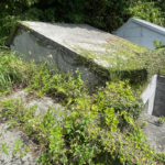 傷んだ屋根も ご先祖様の住まいにも安心と安全を